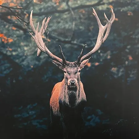 Apartament Zur Alten Post Osterburg