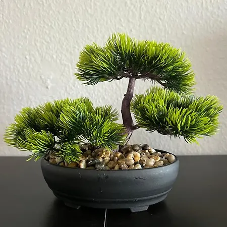 Zur Alten Post Apartment