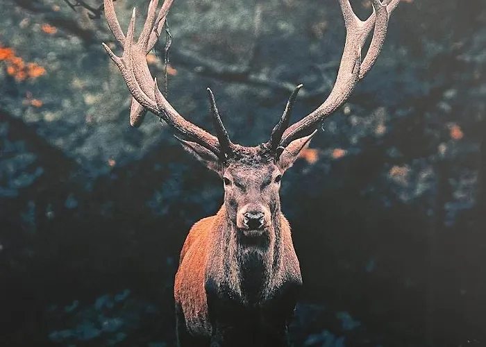 Apartamento Zur Alten Post Osterburg