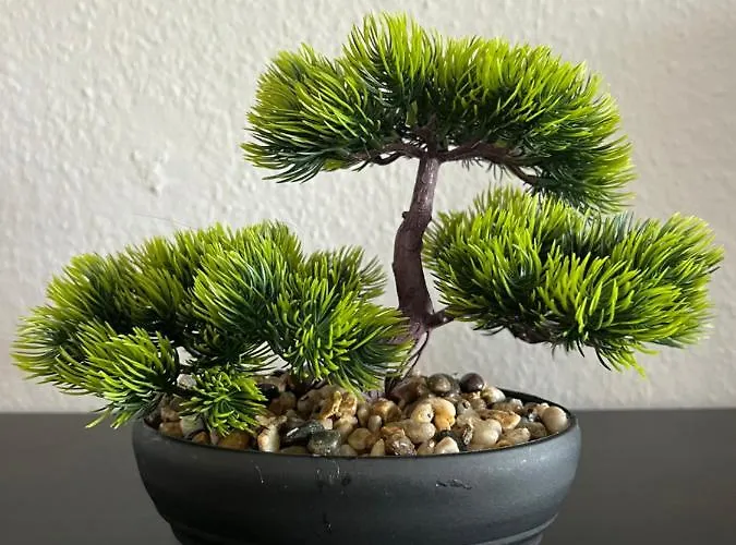 Zur Alten Post Apartamento